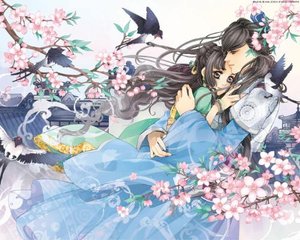 小蓝鸟网页版